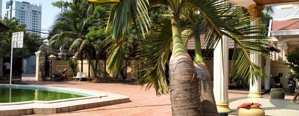 Five Bedrooms Villa in the Residential Area for rent in Toul Kork (4)