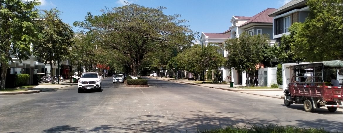 Twin Villa for Sale in Borey Peng Huoth along National Road 1 (1)