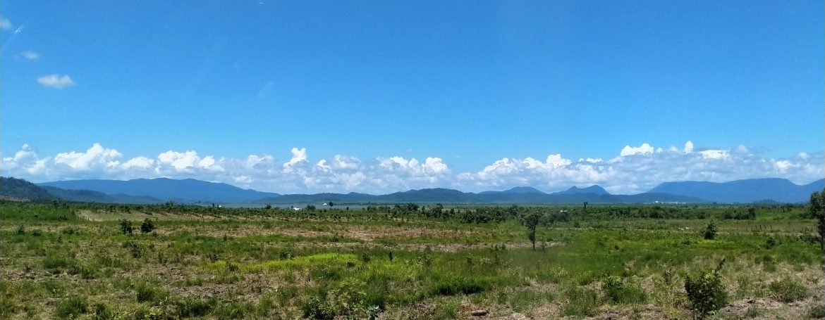 Mango Farm for Sale in Oral District (3)