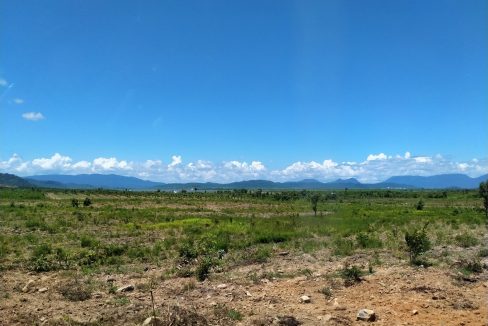 Mango Farm for Sale in Oral District (3)