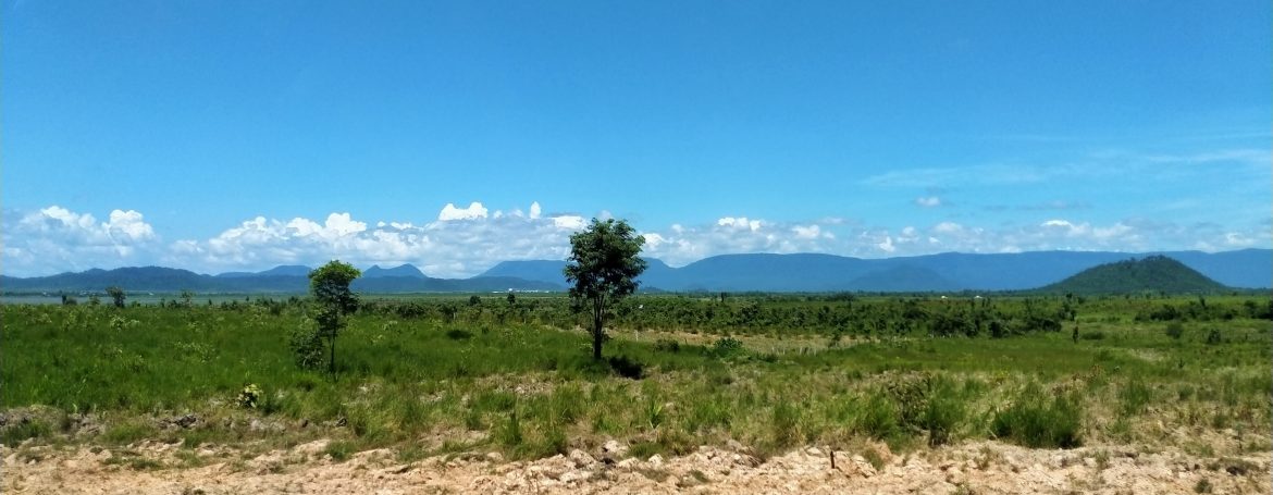 Mango Farm for Sale in Oral District (4)