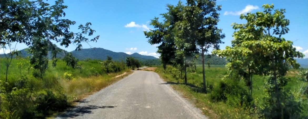 Mango Farm for Sale in Oral District (7)