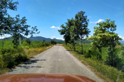 Mango Farm for Sale in Oral District (7)