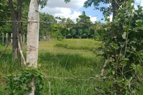 Very nice Land for Sale in Siem Reap (1)