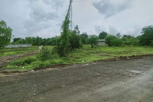 Good Location Land for Sale on the Main Raod 20m in Poipet (2