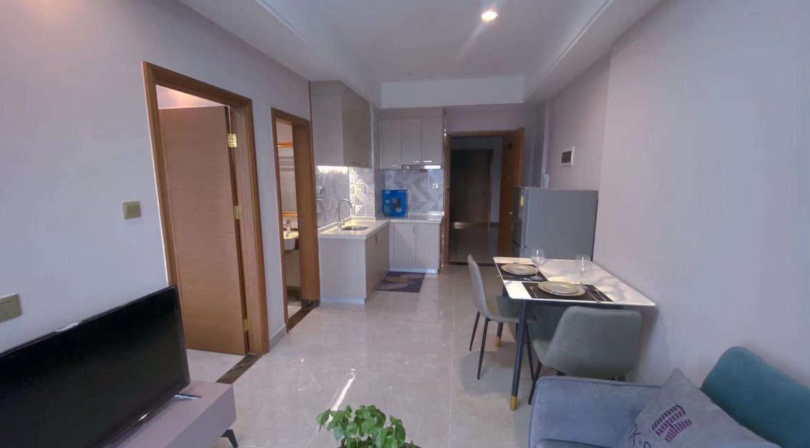 Modern 1 Bedroom Condominium for sale near TK supermarket (1)