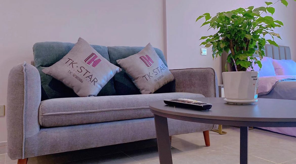 Modern 1 Bedroom Condominium for sale near TK supermarket (4)