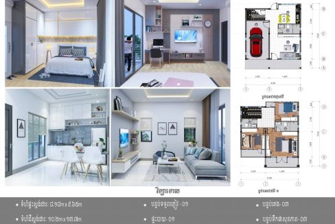 Modern Luxury Single Villa For Sale in Mean Chey (2)