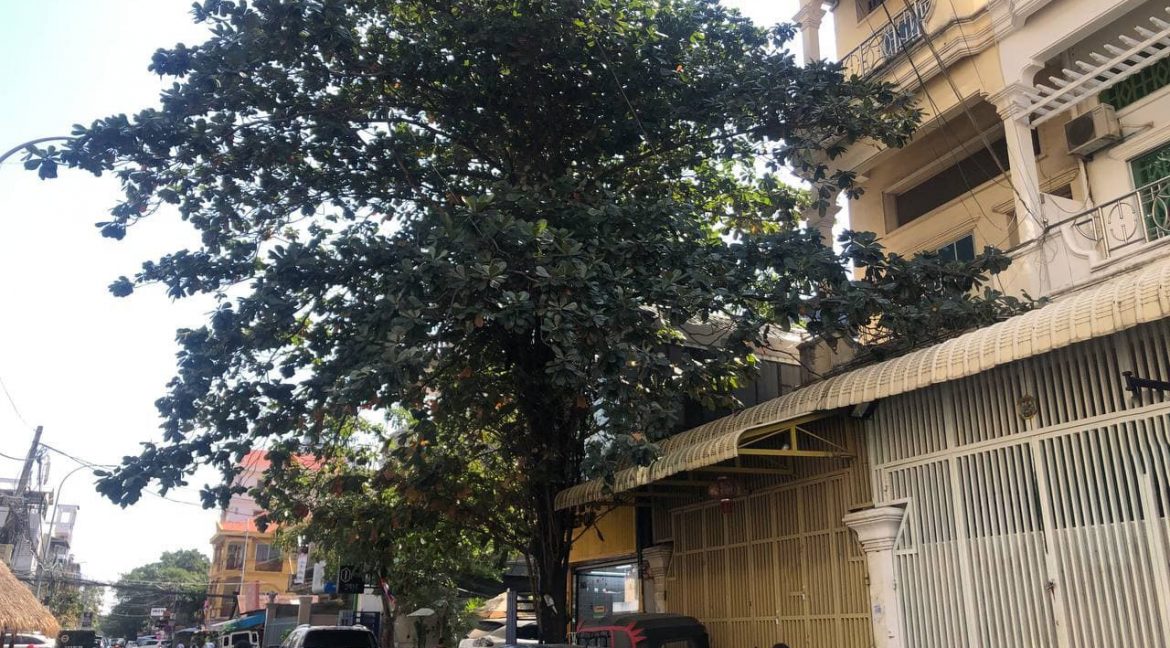 Spacious House For Slae With Many Bedroom in Good Location Near IFL University (2)