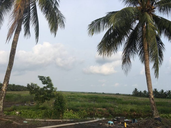 8 Hectares Agriculcure Land for Sale in Sihanoukville Province (1)