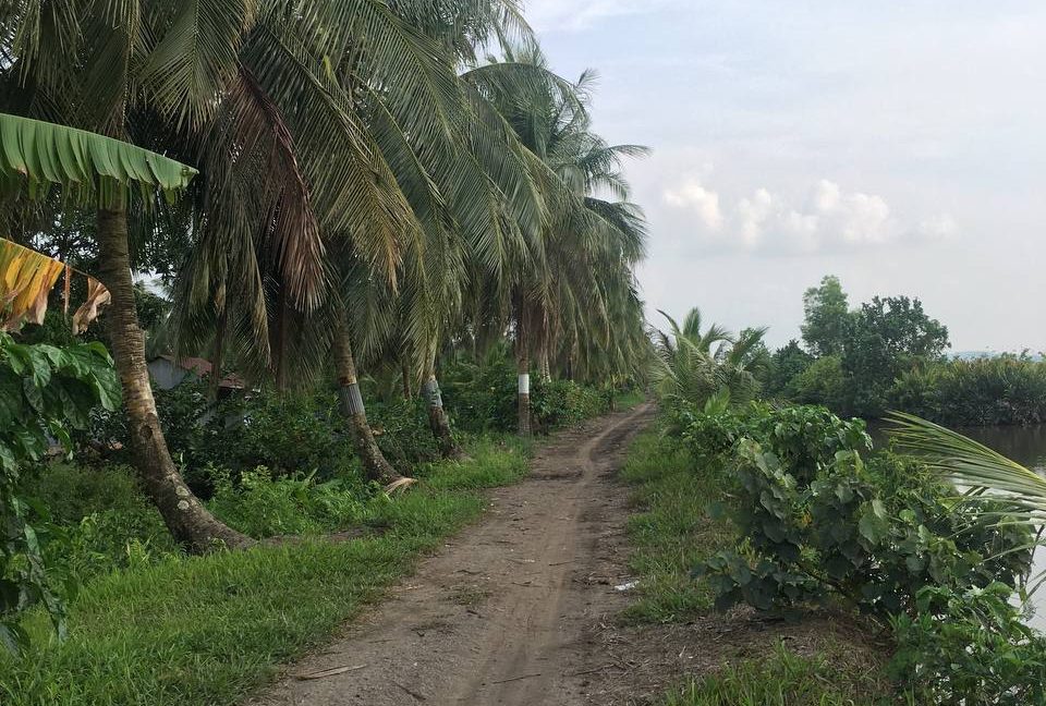8 Hectares Agriculcure Land for Sale in Sihanoukville Province (4)