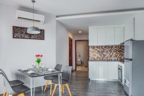 Modern One Bedroom Apartment for Rent in Daun Penh (7)