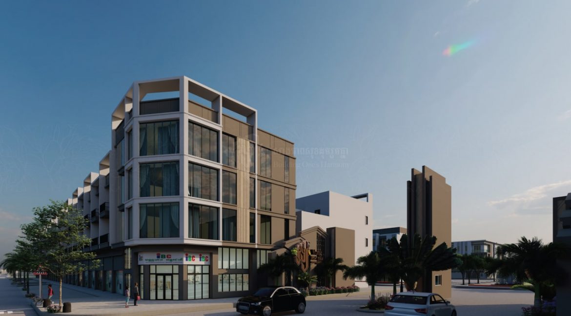 Commercial Building for sale with Best Location in Dangkao (2)