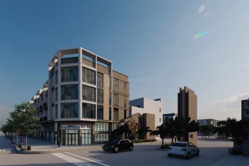 Commercial Building for sale with Best Location in Dangkao (2)
