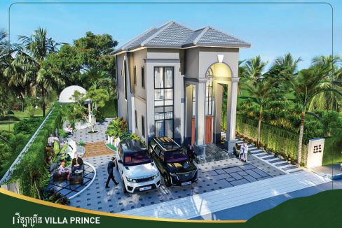 Villa Prince for sale with Best Location in Dangkao (1)