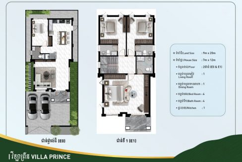Villa Prince for sale with Best Location in Dangkao (2)