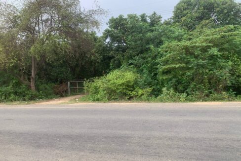 328 ha Land for Sale in Samrong Tong, Kampong Speu | Road 44 | $11/sqm