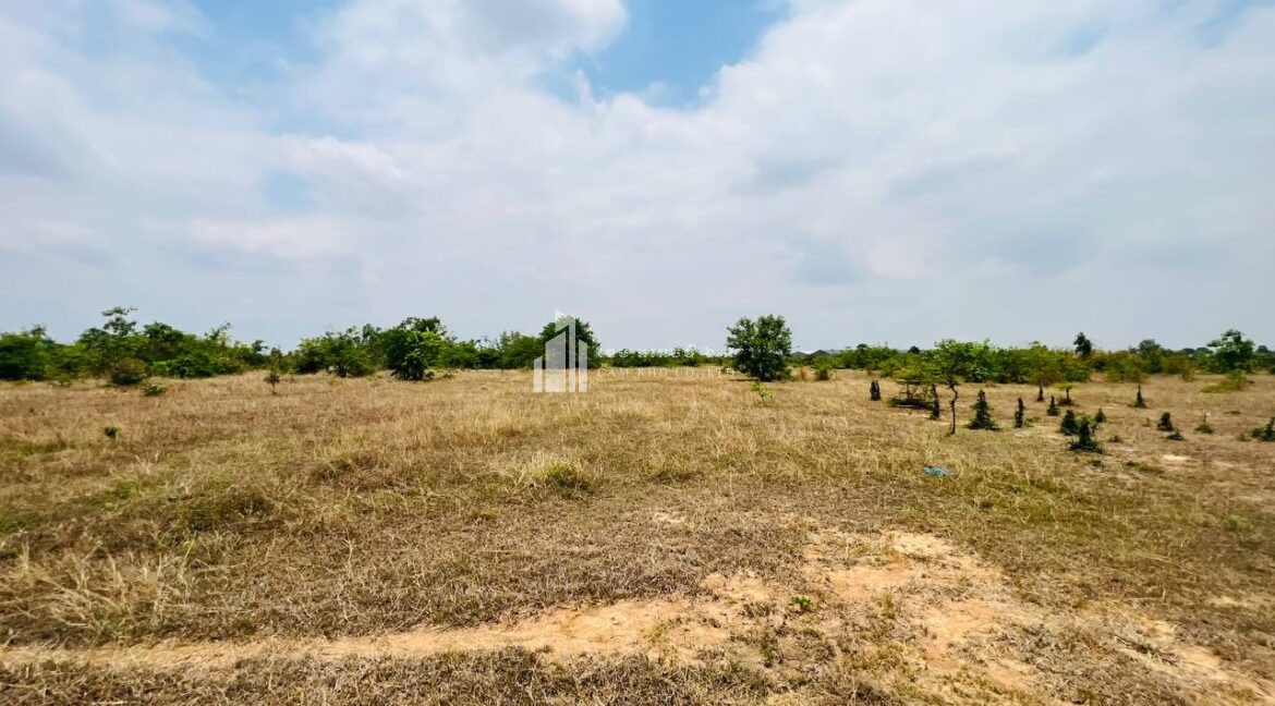 64 ha Land for Sale in Kampong Speu | Road 44 | $16/sqm Negotiable
