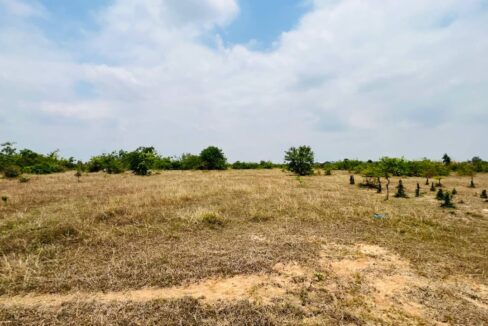 64 ha Land for Sale in Kampong Speu | Road 44 | $16/sqm Negotiable