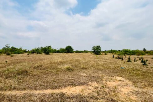 64 ha Land for Sale in Kampong Speu | Road 44 | $16/sqm Negotiable